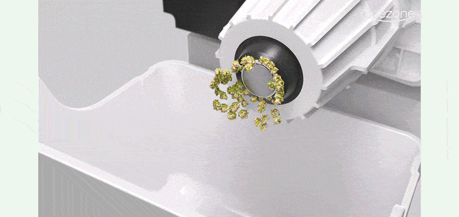 W_04_02_gif_low